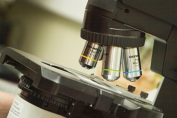 Laboratory technician working with medical samples